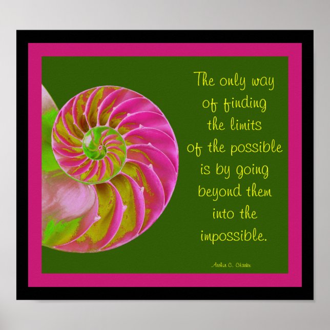 A001 Chambered Nautilus - Possibilities Quote Poster (Front)