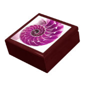 A01. Chambered Nautilus Tiled Box.1 Gift Box (Side)