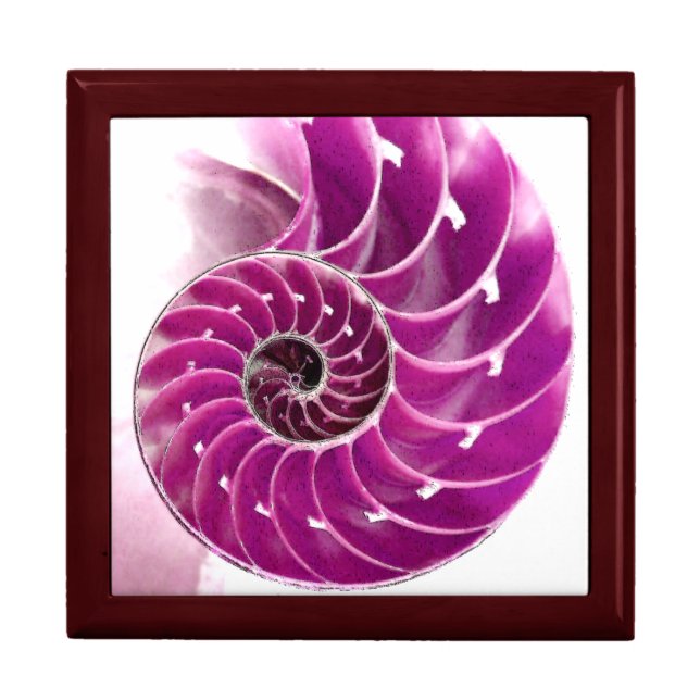 A01. Chambered Nautilus Tiled Box.1 Gift Box (Front)