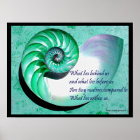 A01 Nautilus Shell Poster with Inspirational Quote
