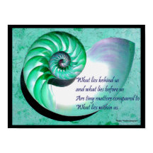 A01 Poster de coquille Nautilus avec une citation