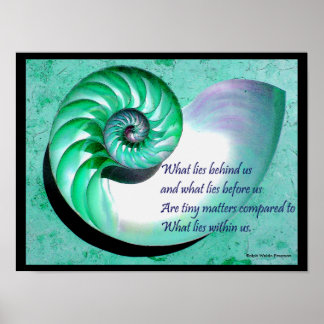 A01 Poster de coquille Nautilus avec une citation