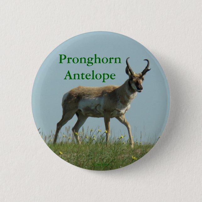A10 Pronghorn Antelope 2 Inch Round Button (Front)