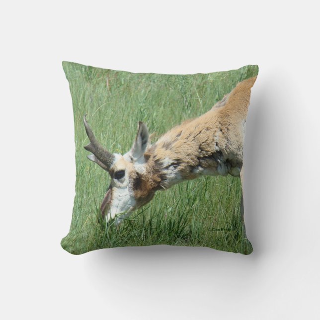 A11 Pronghorn Antelope Grazing Throw Pillow (Front)