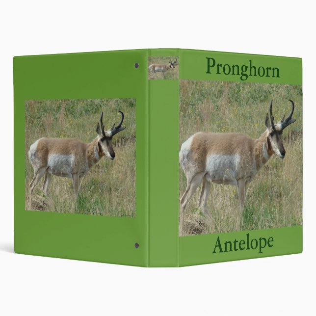 A12 Pronghorn Antelope Binder (Background)