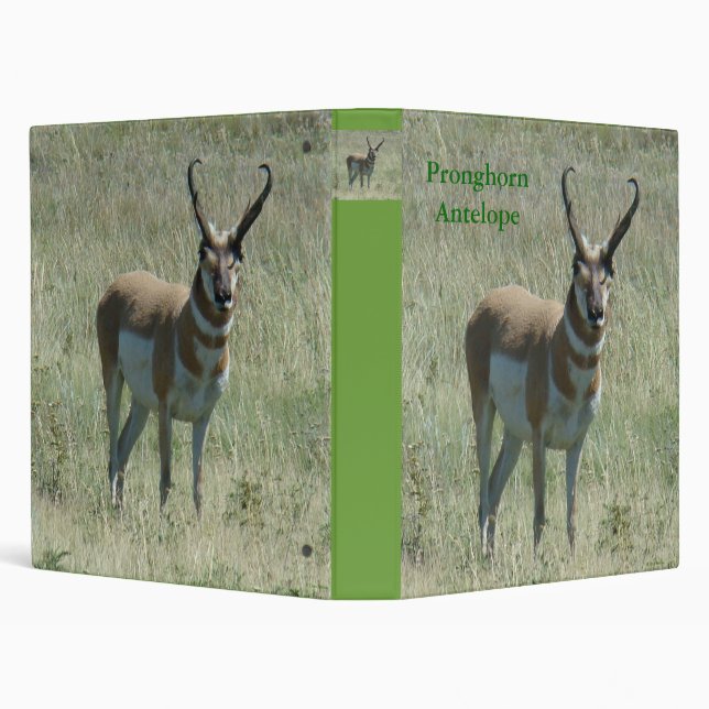 A13 Pronghorn Antelope Binder (Background)