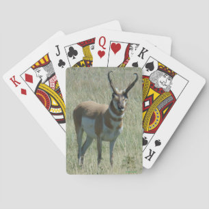 A13 Pronghorn Antelope Buck Playing Cards