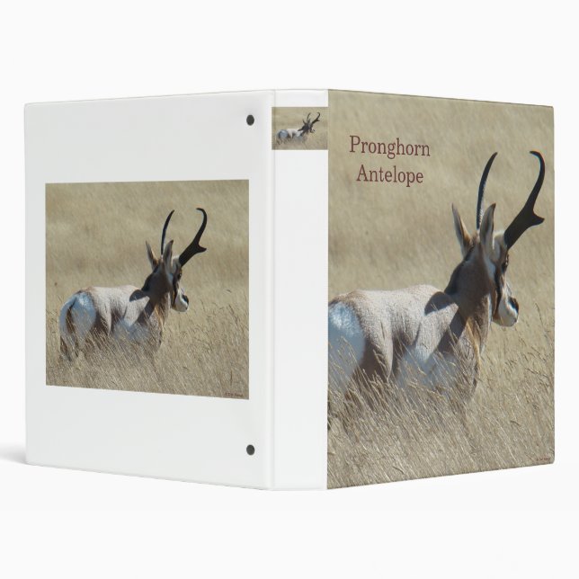 A14 Pronghorn Antelope Sunshine Buck Binder (Background)