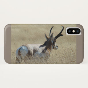 A14 Pronghorn Antelope Sunshine Buck Case-Mate iPhone Case
