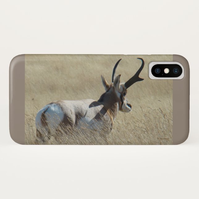 A14 Pronghorn Antelope Sunshine Buck Case-Mate iPhone Case (Back (Horizontal))
