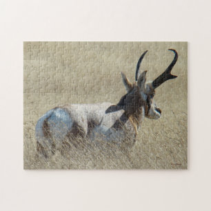 A14 Pronghorn Antelope Sunshine Buck Jigsaw Puzzle