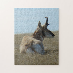 A16 Pronghorn Antelope Napping Jigsaw Puzzle