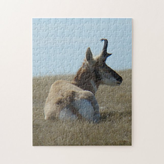 A16 Pronghorn Antelope Napping Jigsaw Puzzle (Vertical)