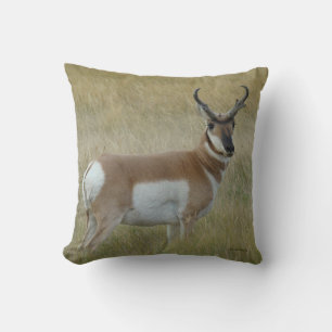 A1 Pronghorn Antelope Buck Throw Pillow