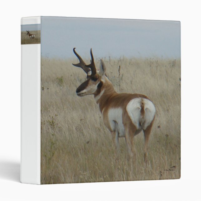 A22 Pronghorn Antelope Big Buck Binder (Front/Spine)