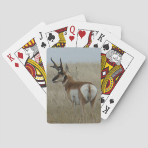 A22 Pronghorn Antelope Buck Playing Cards