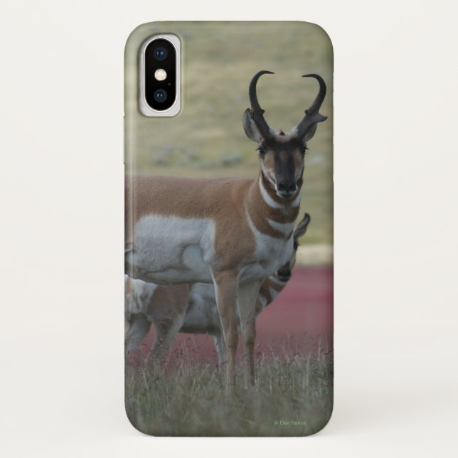 A24 Pronghorn Antelope Case-Mate iPhone Case (Back)