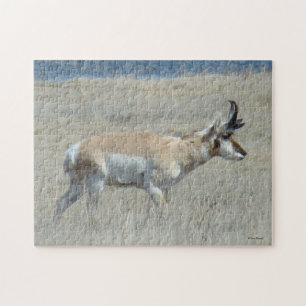 A25 Young Pronghorn Antelope Buck Jigsaw Puzzle