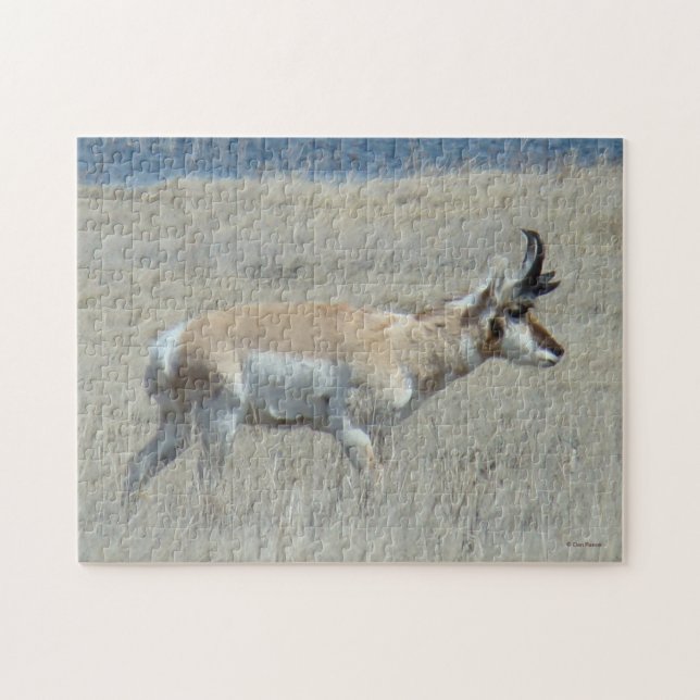 A25 Young Pronghorn Antelope Buck Jigsaw Puzzle (Horizontal)