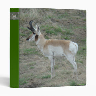 A26 Pronghorn Antelope Binder