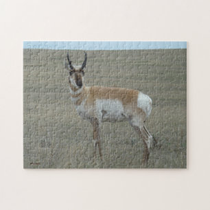 A28 Pronghorn Antelope young Buck Jigsaw Puzzle