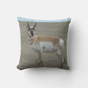 A28 Pronghorn Antelope Young Buck Throw Pillow