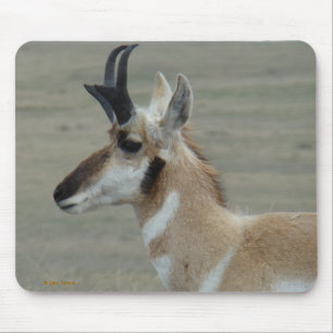 A29 Pronghorn Antelope Young Buck Head Profile Mouse Pad