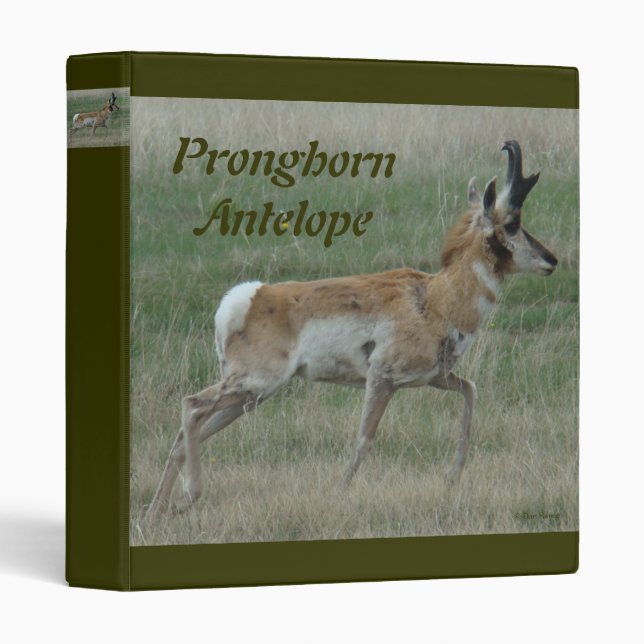 A32 Pronghorn Antelope Buck Binder (Front/Spine)