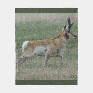 A32 Pronghorn Antelope Buck Fleece Blanket