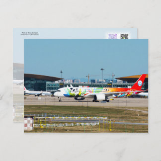 A350 Panda Livery  Postcard