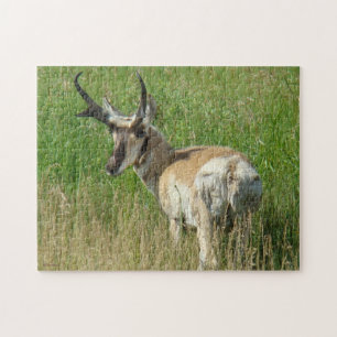 A35 Pronghorn Antelope Buck Jigsaw Puzzle