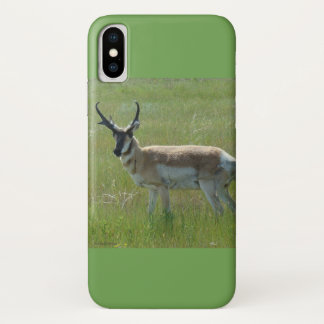 A36 Pronghorn Antelope Case-Mate iPhone Case