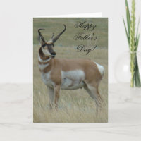 A37 Pronghorn Antelope Big Buck Crooked Horns