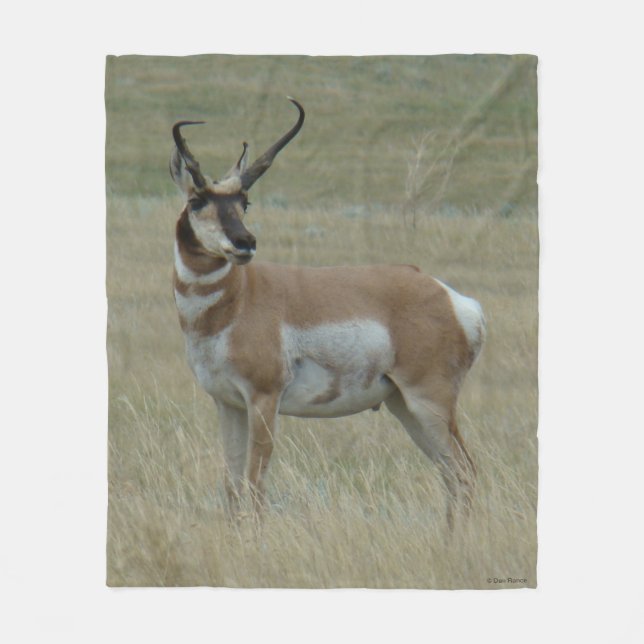 A37 Pronghorn Antelope Big Buck Crooked Horns Fleece Blanket (Front)