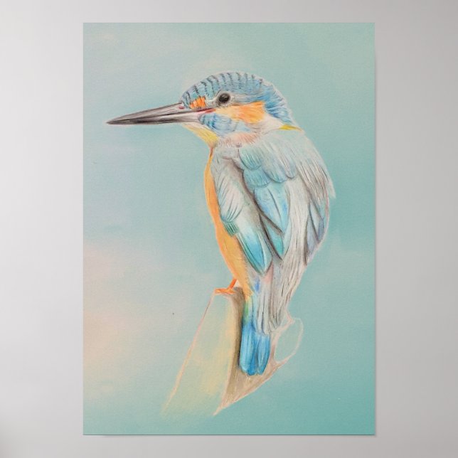 A3 Beau crayon Kingfisher Impression (Devant)
