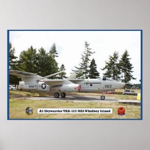 A3 Skywarrior VAH 123 Aircraft Poster