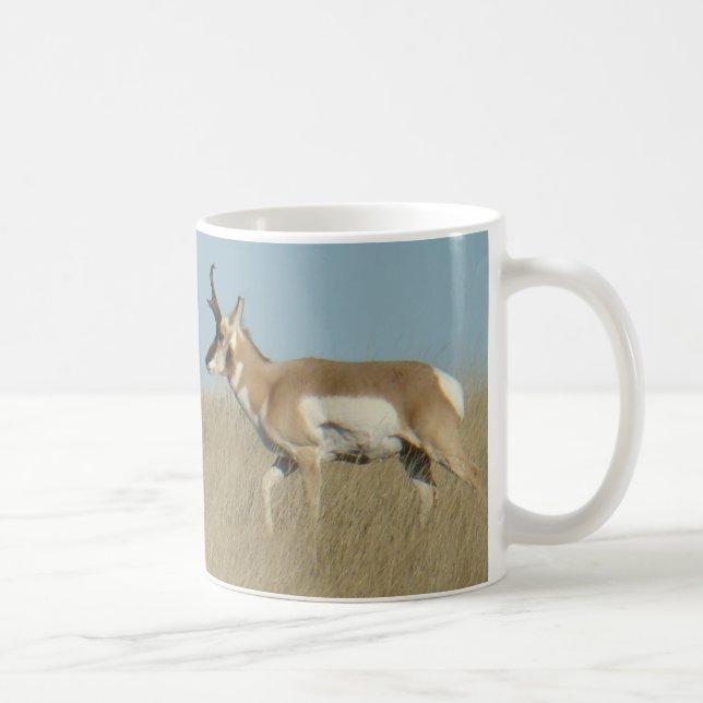 A44 Pronghorn Antelope Bucks Coffee Mug (Right)