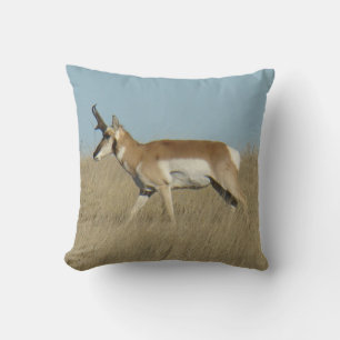 A45a Pronghorn Antelope Buck Throw Pillow