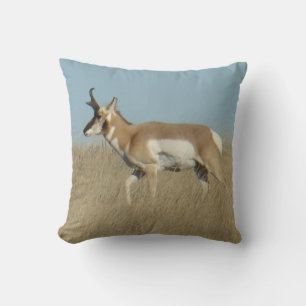 A45b Pronghorn Antelope Buck Throw Pillow