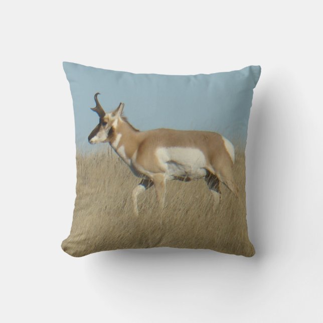 A45b Pronghorn Antelope Buck Throw Pillow (Front)