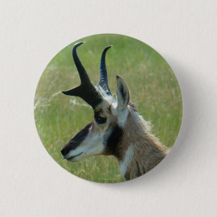 A47 Pronghorn Antelope Big Buck Head Profile 2 Inch Round Button