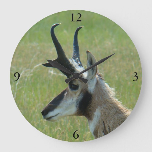 A47 Pronghorn Antelope Big Buck Head Profile Large Clock (Front)