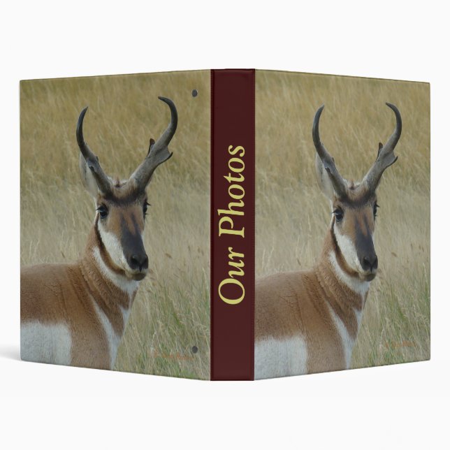 A5 Pronghorn Antelope Buck Binder (Background)
