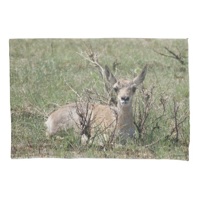 A7 Baby Pronghorn Antelope Pillowcase (Front)