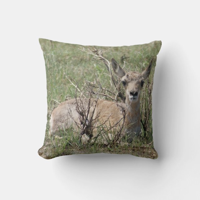 A7 Baby Pronghorn Antelope Throw Pillow (Front)