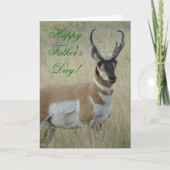 A9 Pronghorn Antelope Big Buck Card (Front)