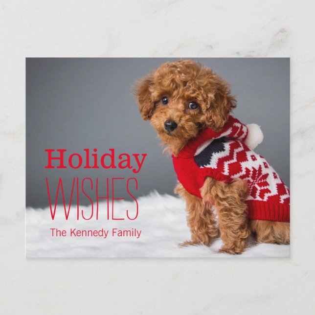 A 10 week old toy poodle holiday postcard (Front)