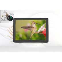 Conception de portefeuille Colibri #108A0605