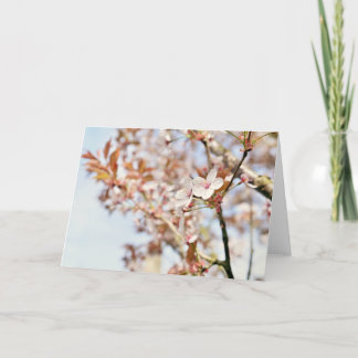 A 7 x 5'' blank greeting card