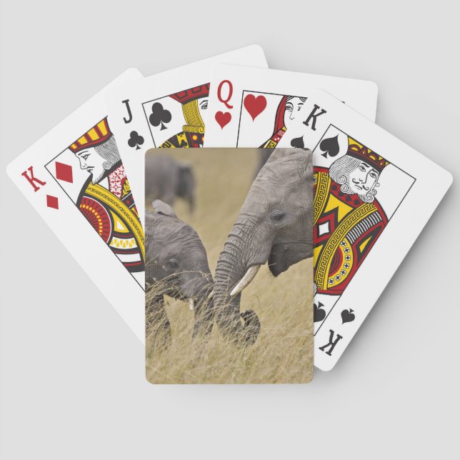 A African Elephant grazing in the fields Playing Cards (Back)